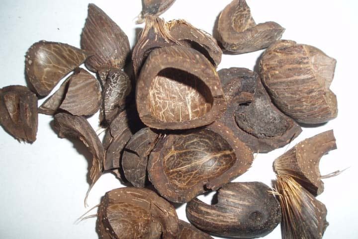 Palm Kernel Shell